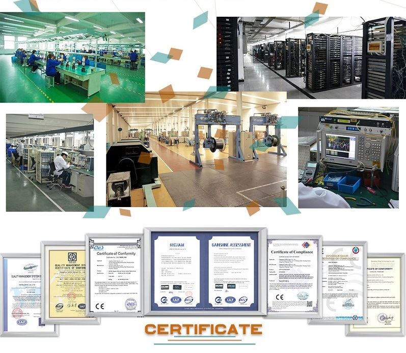 Production line and company certificate Production line and company certificate